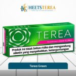 TEREA Green Indonesian pack for IQOS ILUMA
