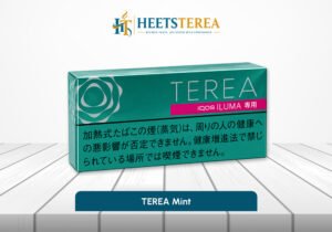 TEREA Mint Japan tobacco sticks for IQOS ILUMA